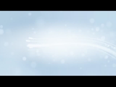 Porta a chiusura a rulli in alluminio ad alta sicurezza per edifici commerciali